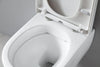 WC paquete completo 22: WC NT2039 Blanco