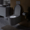 Duravit Soleil Inodoro con ducha