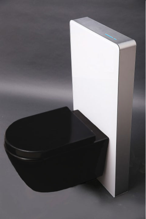 WC paquete completo 39: WC B-8030R Negro