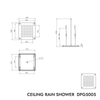 Ducha de lluvia XXL de techo de acero inoxidable DPG5005